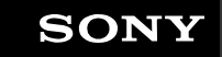 PlayStation Logo